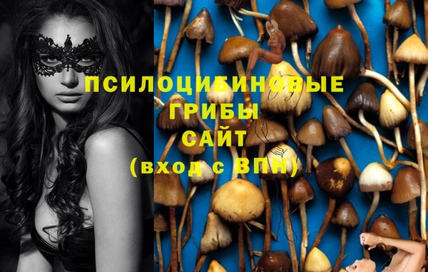 соль ск Заводоуковск