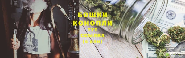 индика Заволжск