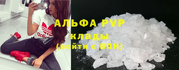 индика Заволжск