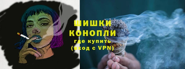 индика Заволжск