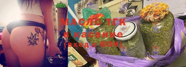 индика Заволжск