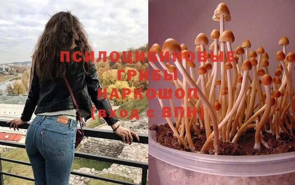 индика Заволжск