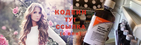 индика Заволжск