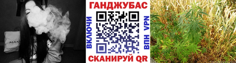 Марихуана OG Kush  Купить  Кедровый 